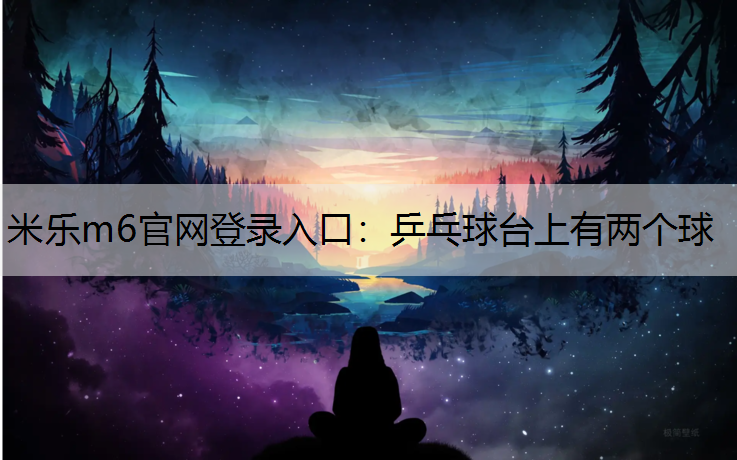 乒乓球台上有两个球